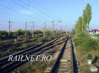 Imagine atasata: IMG_2310.JPG